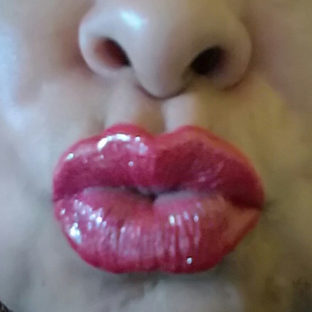 Meet your Posher, Fidela